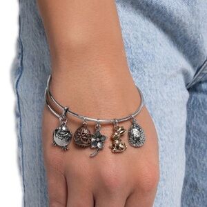 Paparazzi Silver and Gold Charm Bracelet